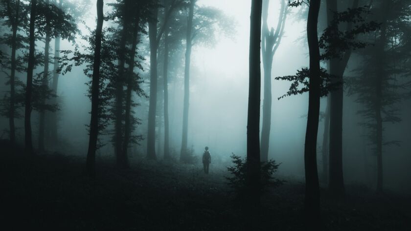 Lost in the woods
